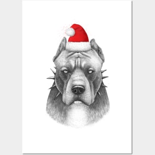 Winter pitbull Posters and Art